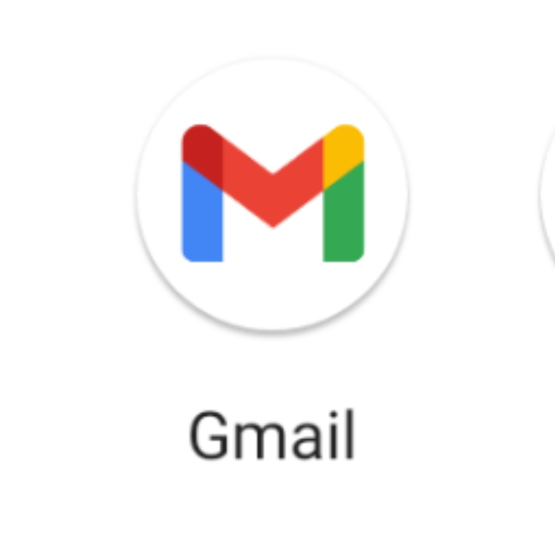 Gmail 2 to 3 Months Old | High Quality