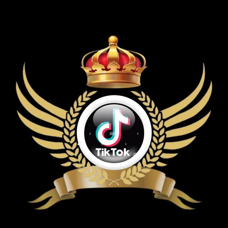 Fresh TikTok accounts low price 💯% active 