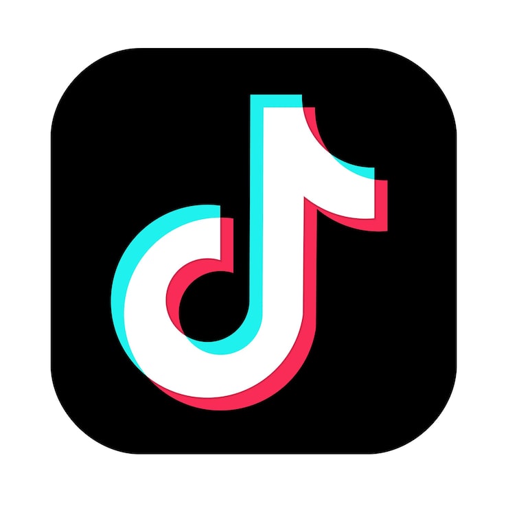 Tiktok accounts with email access.