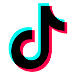 Tiktok accounts verified by email. Email access provided.