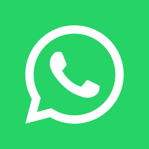 High quality USA WhatsApp (46 day old)