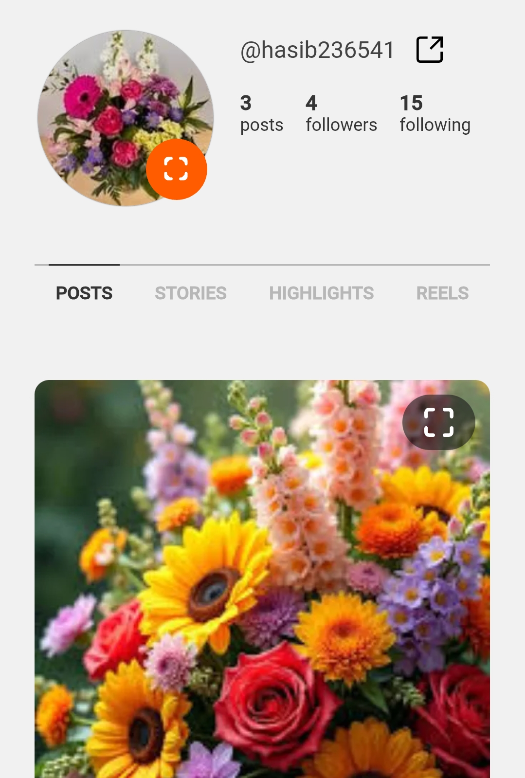 Instagram 3 post account with 2fa 5/50 follower or following 💯 login gruntty 