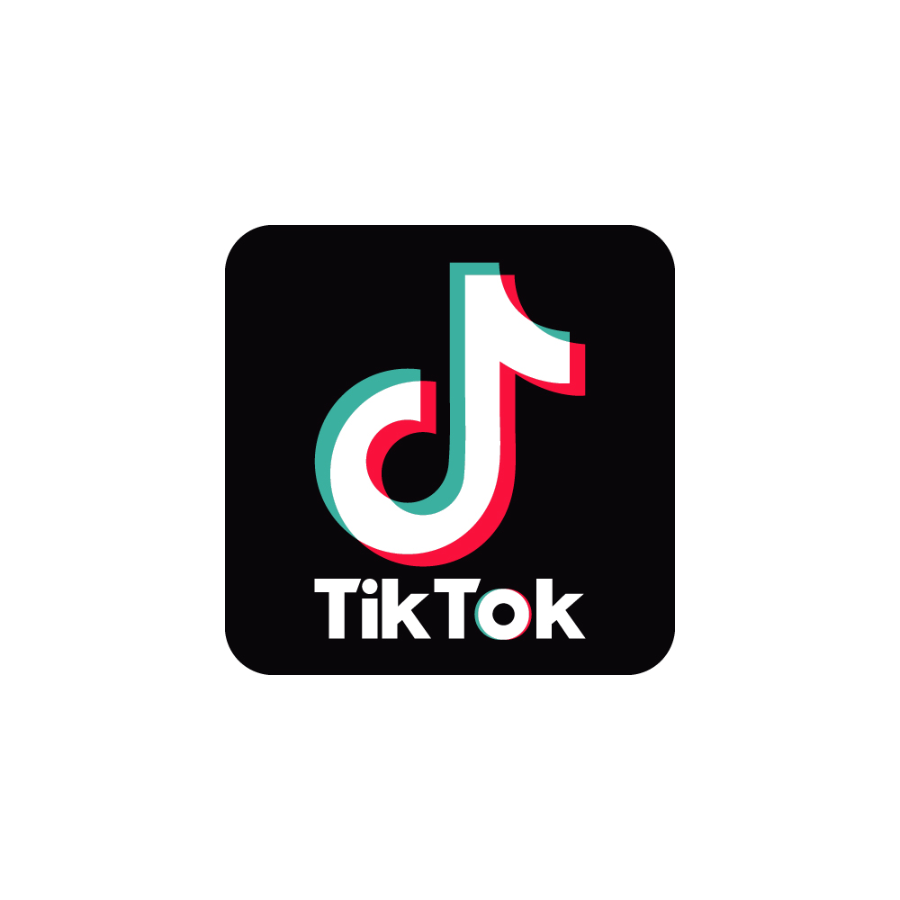 TikTok Accounts Mail verified with access and 2fa secured